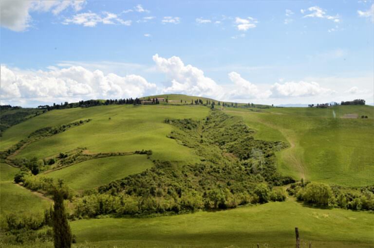 Winery tour in Volterra