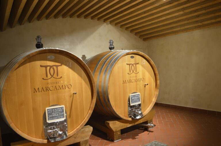Wine cellar in Volterra