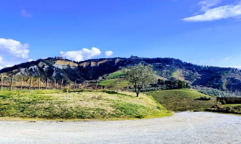 Breathtaking view from the winery