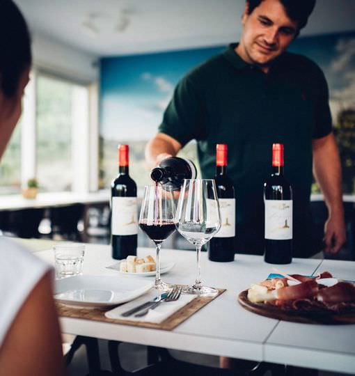 Guided wine tour at the winery