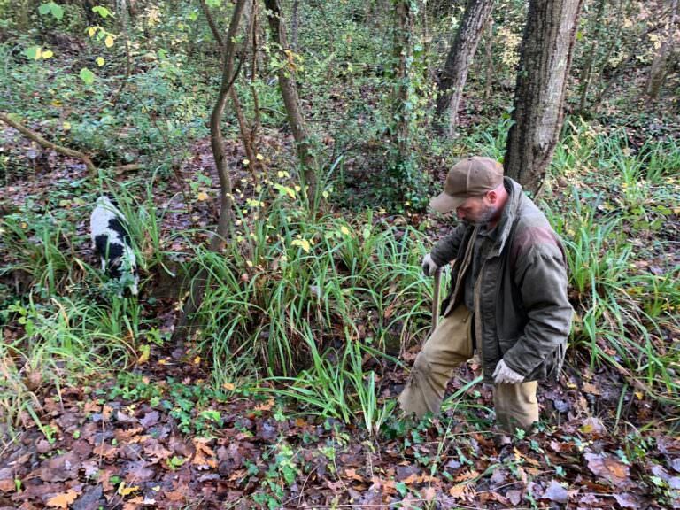 Searching for truffles