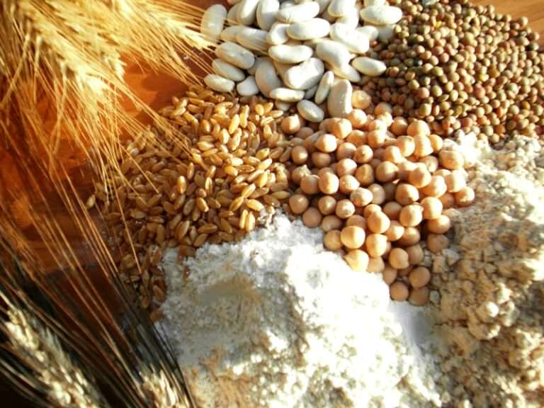 Typical ancient grain flours