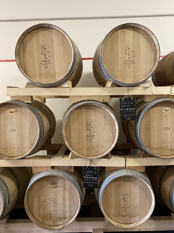 Red wine ageing in the barrels