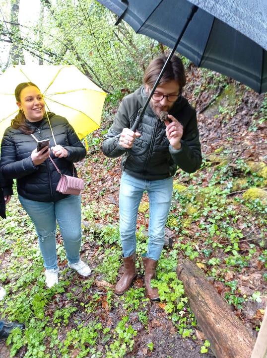 Summer black truffle just found