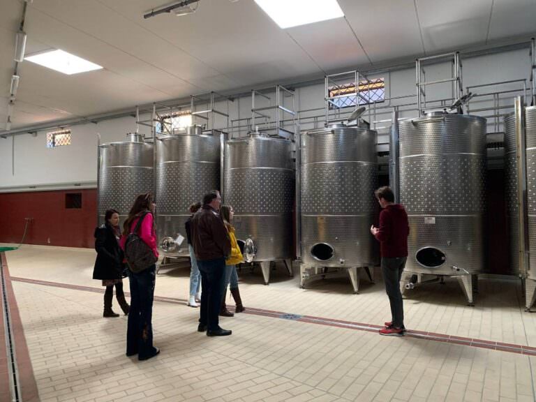 Winery tour with guided wine tasting