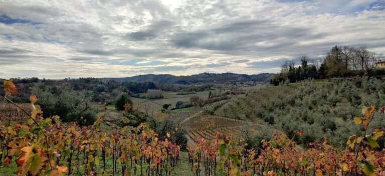 Guided wine tour to two wineries in the San Miniato district