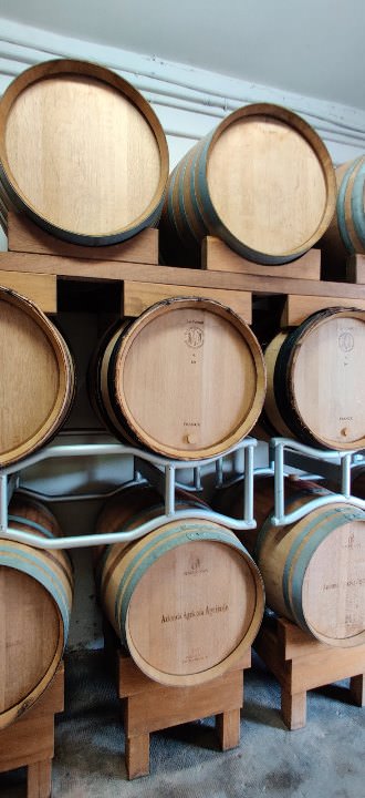 Guided tour to San Miniato with wine tasting