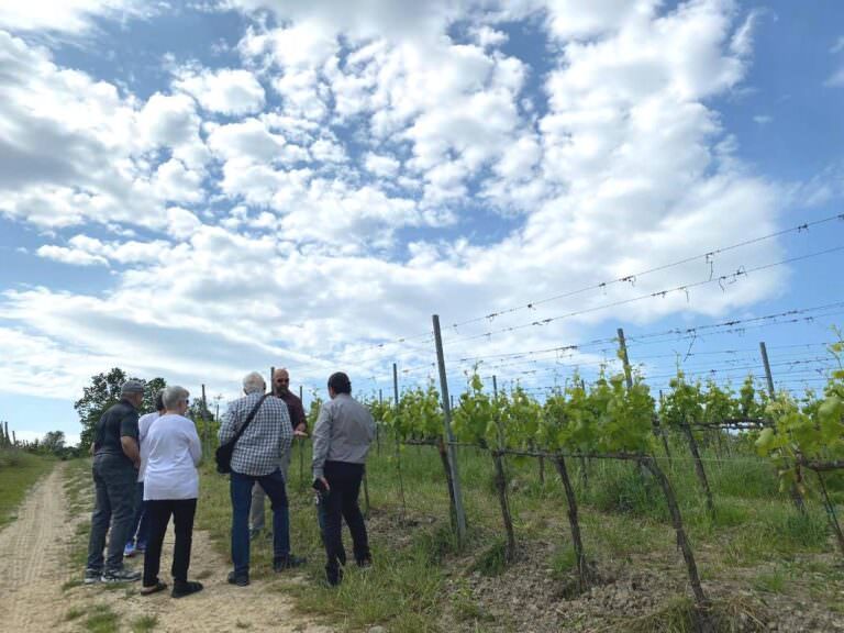 Our guide Massimo leading a wine tour