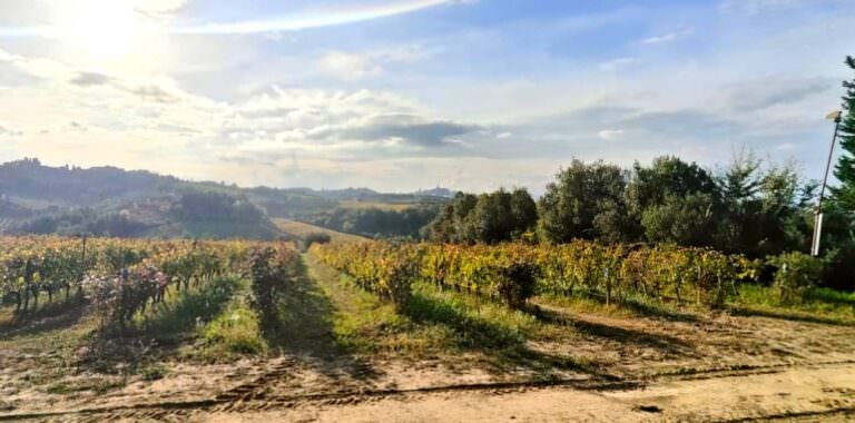 Guided tour to San Miniato with our guide Moira