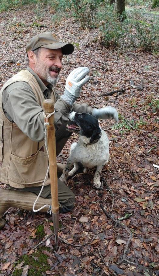 Truffle experience in Tuscany