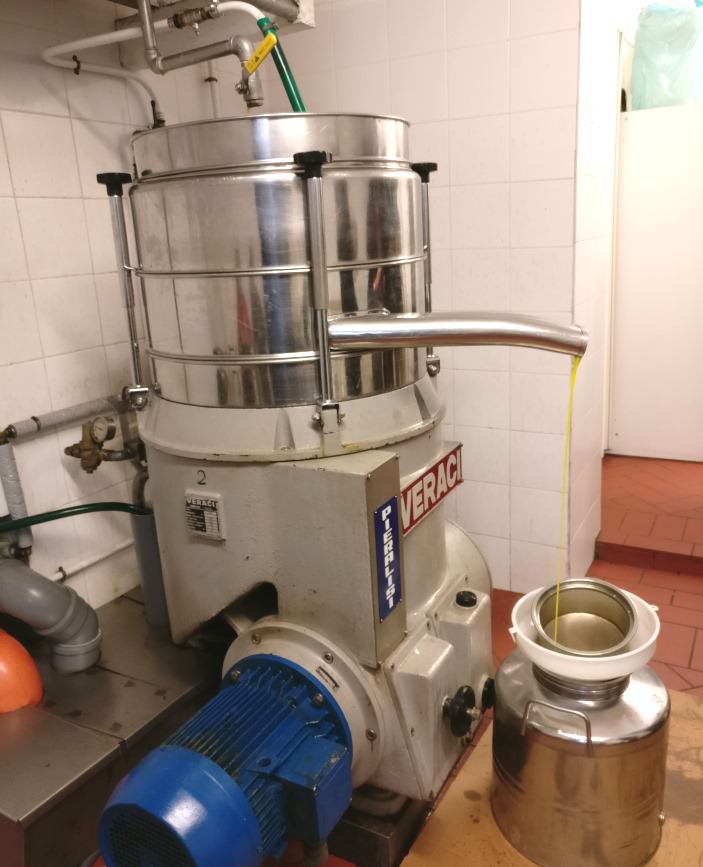 Olive oil tour at a Tuscan mill