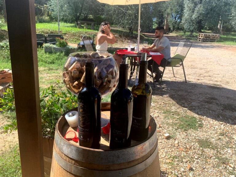 Microwineries tour in Tuscany