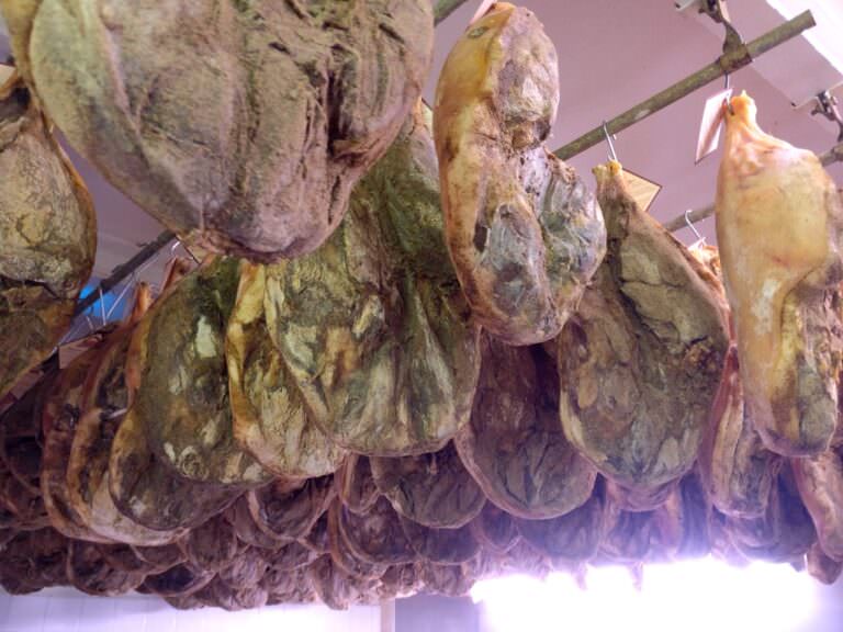 Guided visit to Lari with Arianna & Friends