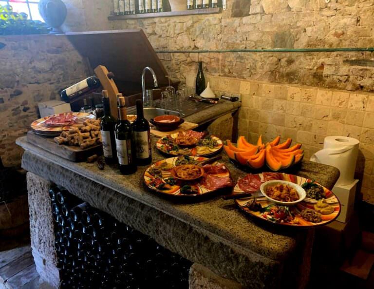 Family run business winery in Terricciola