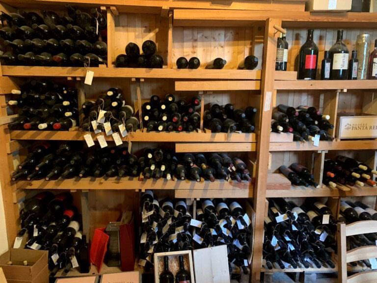 Microwineries tour in the Terricciola district