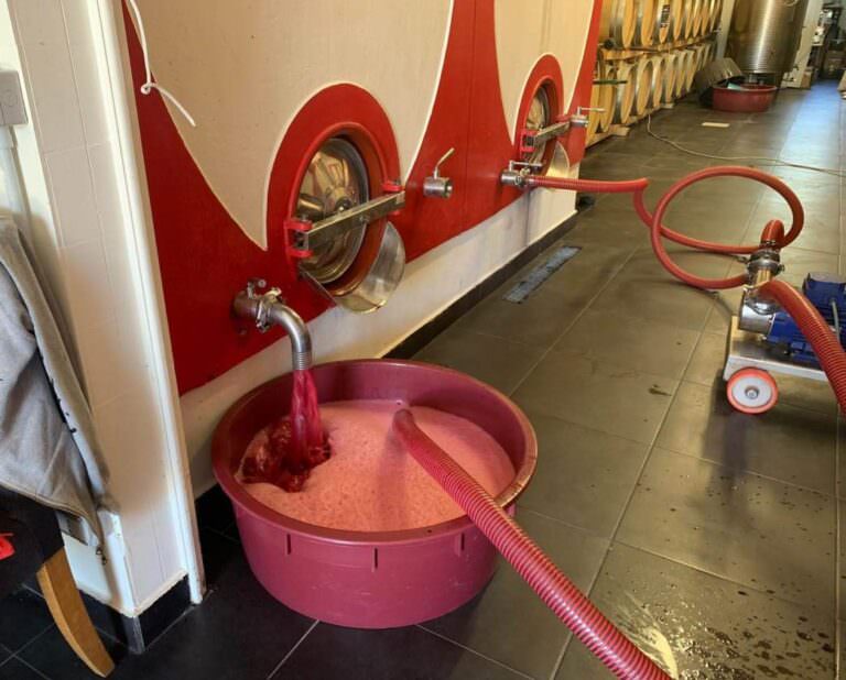 Wine tasting experience at Terricciola