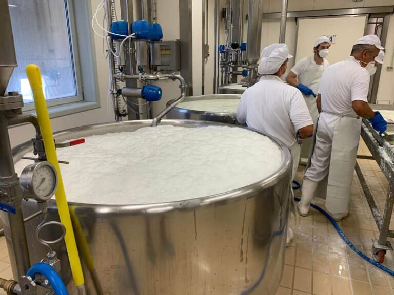 Fresh ricotta made at the cheese factory