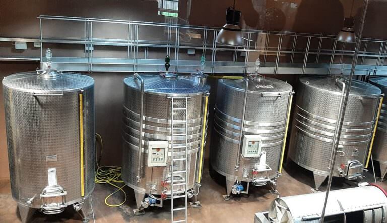 Winery tour in Terricciola