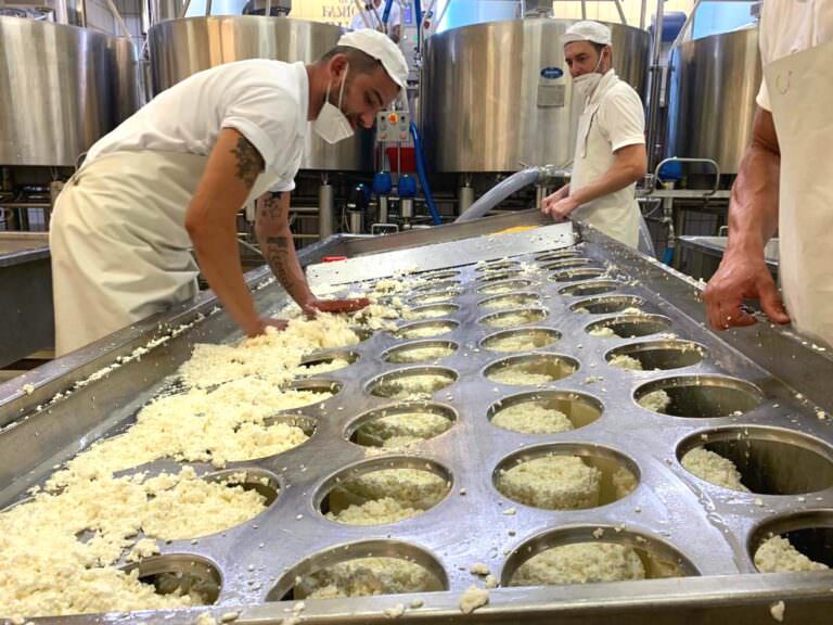 Cheese tasting experience