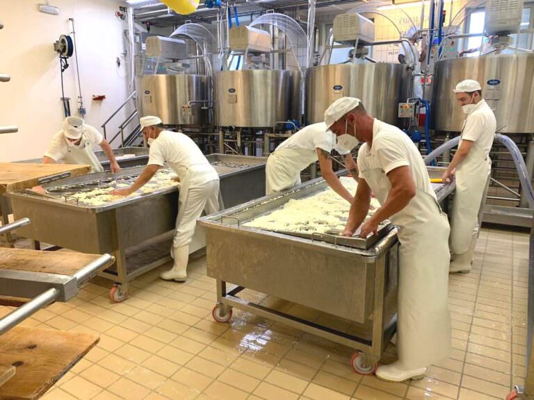 Pecorino cheese tour in Tuscany