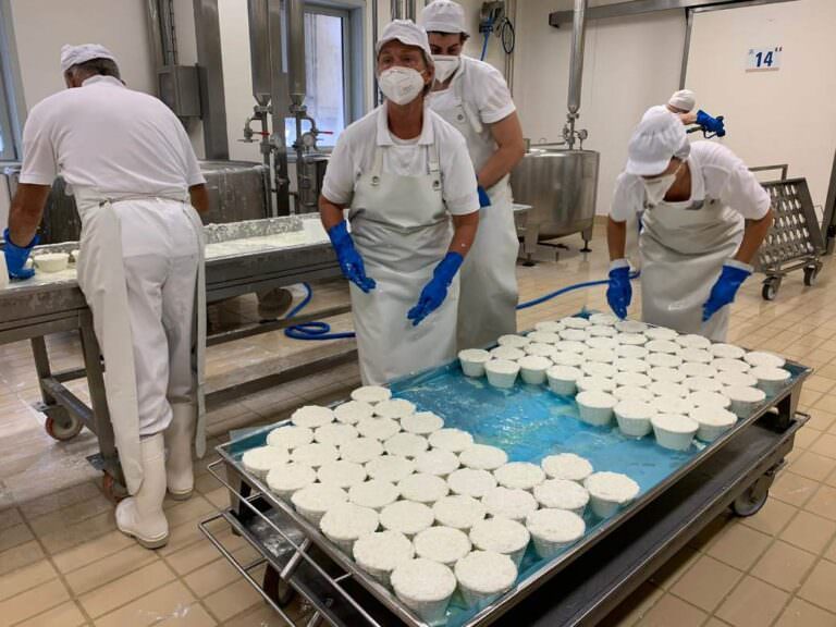 Ricotta cheese made by milk whey