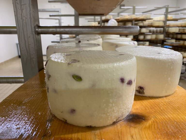 Guided visit to pecorino cheese makers