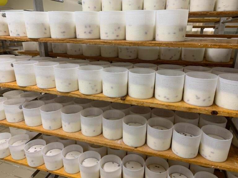 Cheese tour in Tuscany