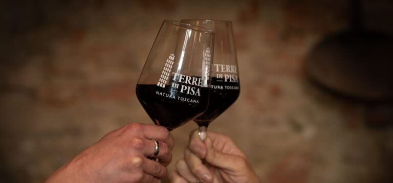 Typical red wine from Tuscany