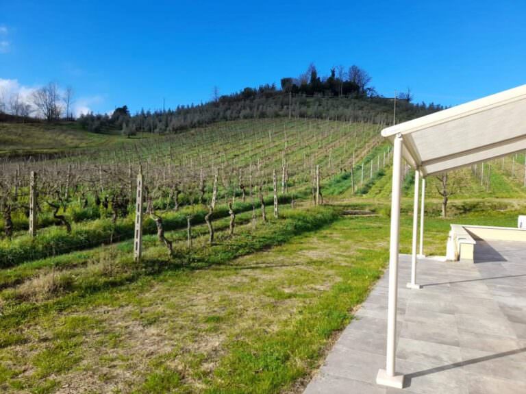 Cooking class at the winery in San Miniato