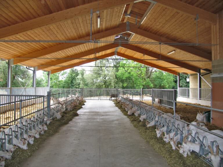 Farm near San Gimignano