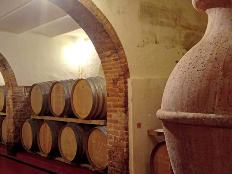 Wine tasting experience at a organic winery