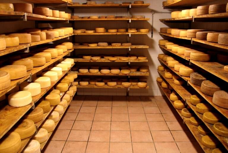 Visit to an organic farm near San Gimignano