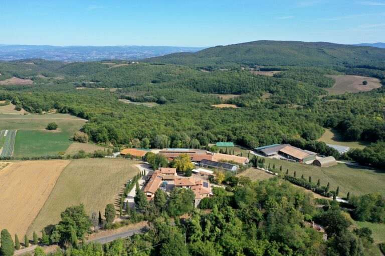 The organic farm in San Gimignano