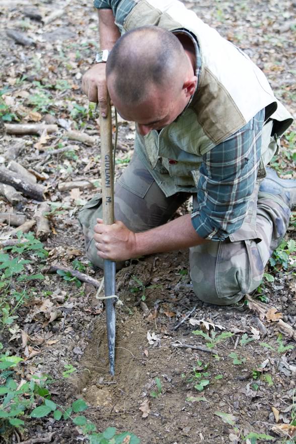 Truffle hunting experience near Ghizzano