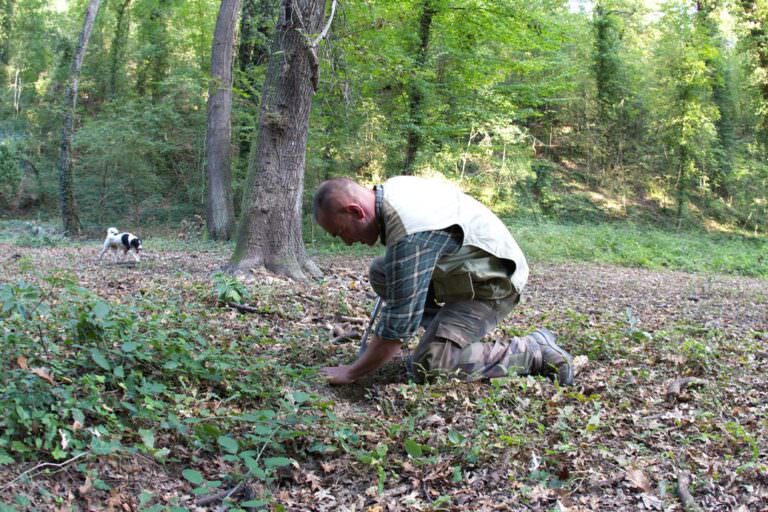 Truffle hunting in the wood with Matteo and his dog