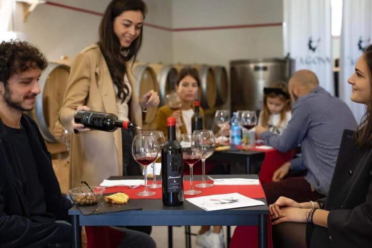 Visit to 3 small wineries in the Terricciola area