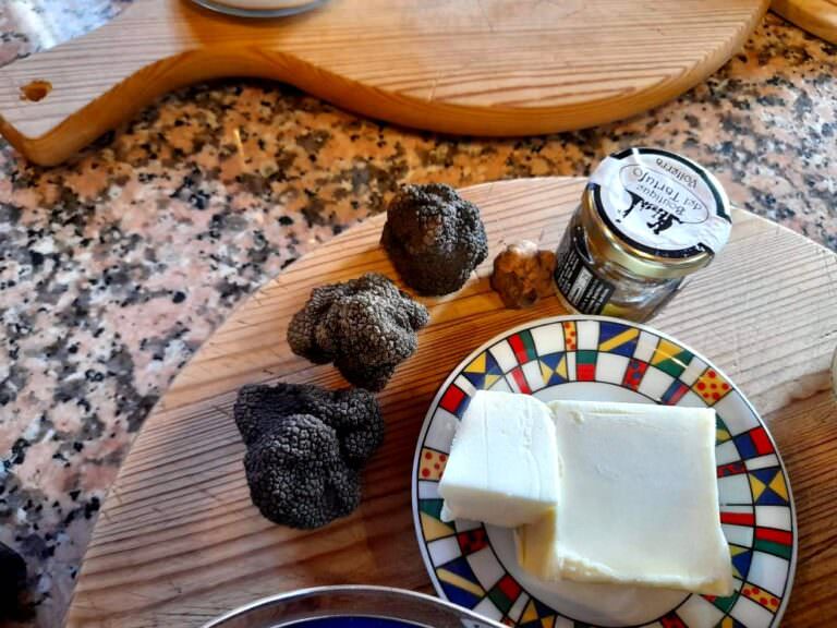 Fresh truffles found in the wood