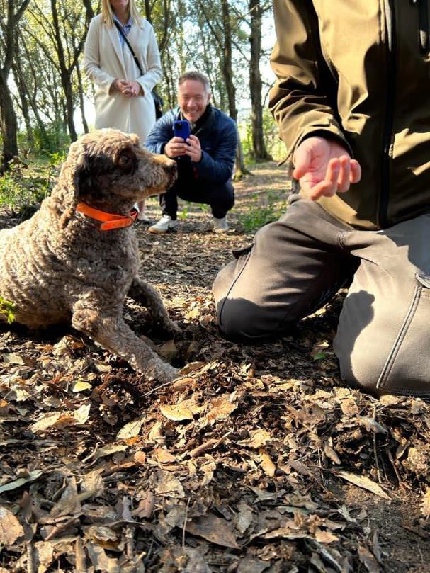 Happy moment in the wood
