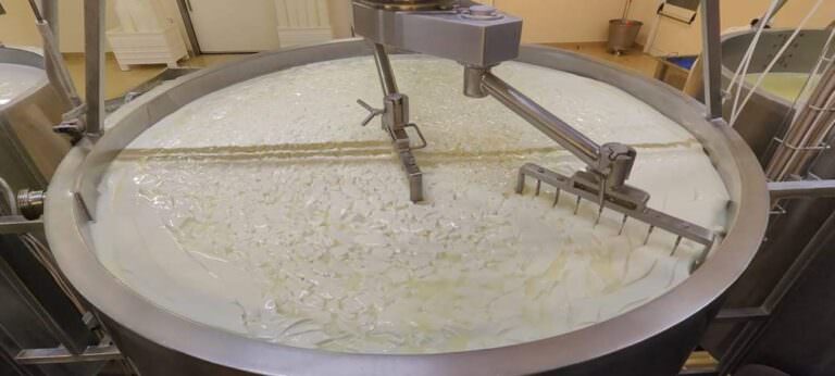 Guided visit to the cheese factory with Arianna & Friends