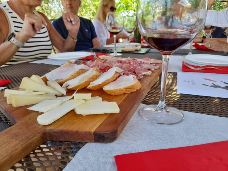 Private wine tasting experience around Terricciola area