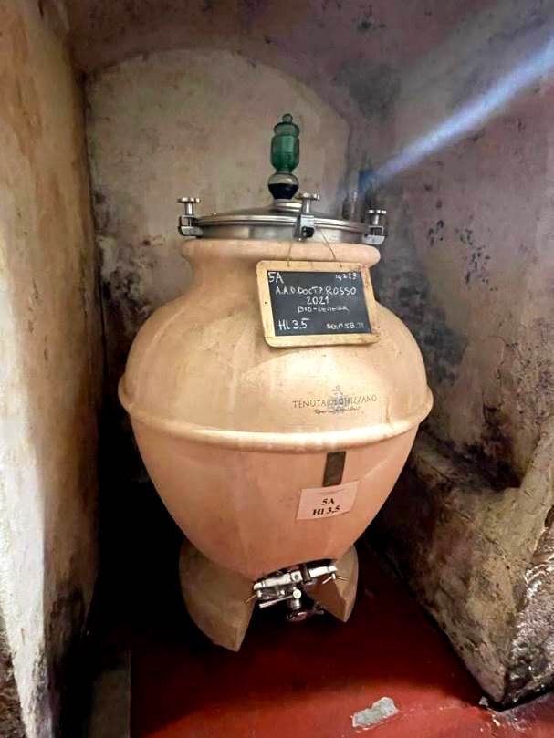 Wine tasting experience at tenuta di Ghizzano