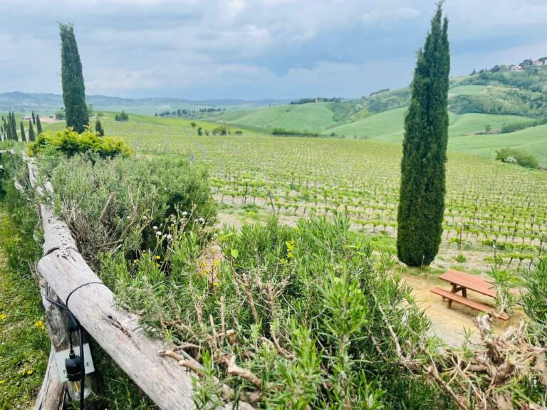 Wine tasting with Arianna & Friends