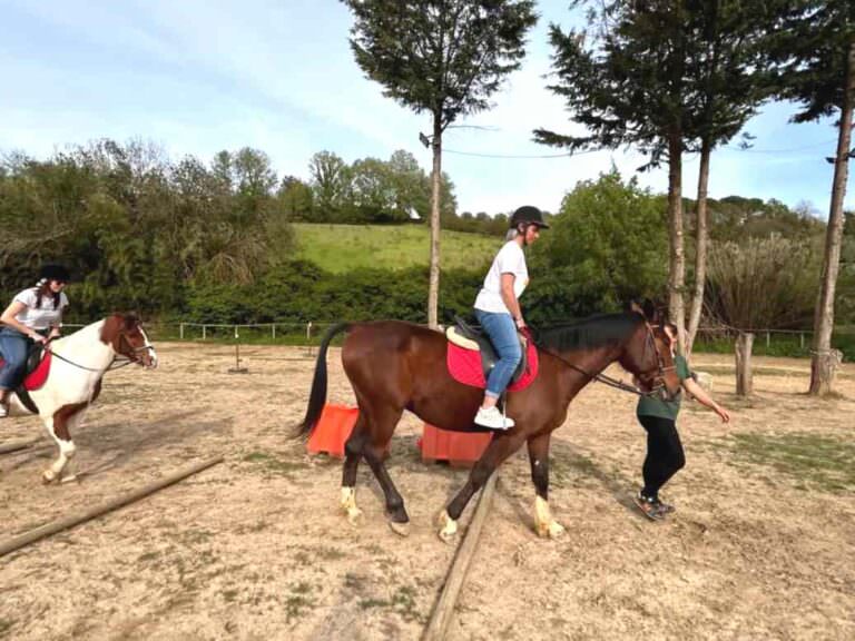 Horse back riding experience