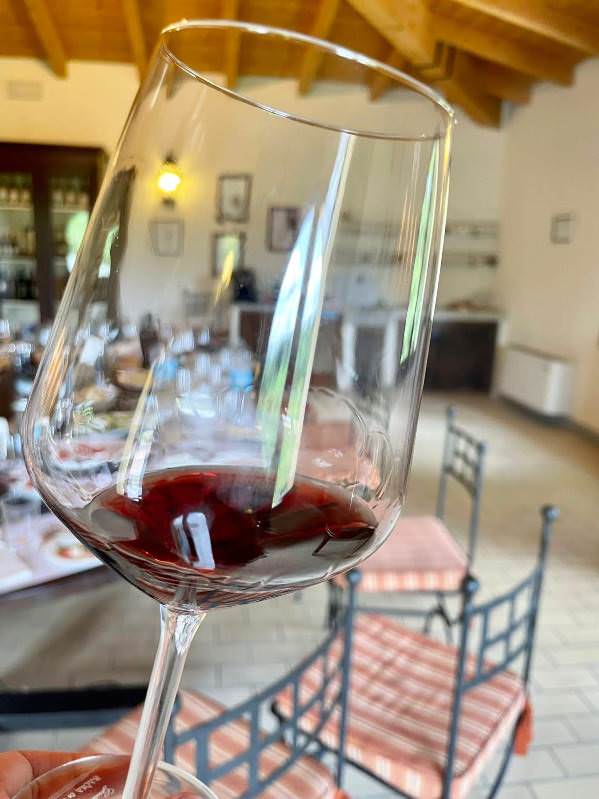 Red wine tasting experience