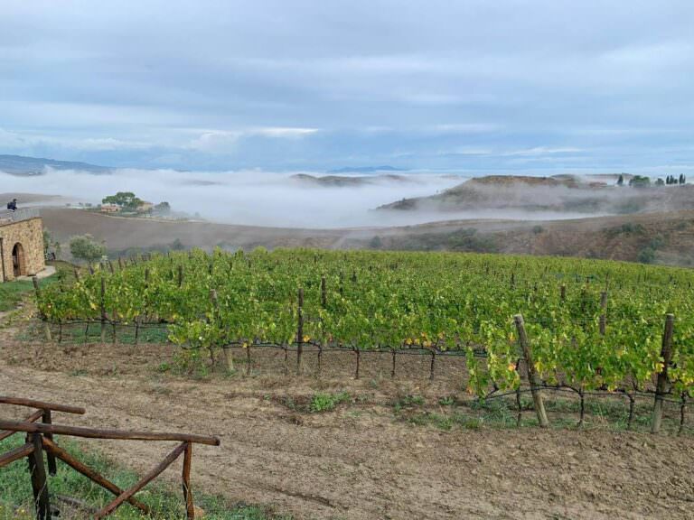 Hiking in the area of Terricciola