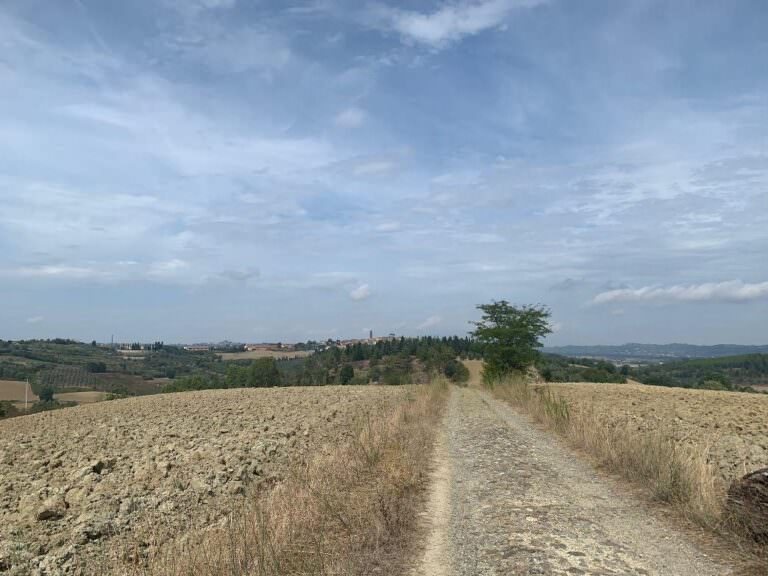 The area of Terre di Pisa: the perfect area for hiking excursions