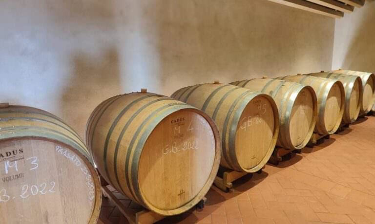 Volterra and winery your with visit to a local winery