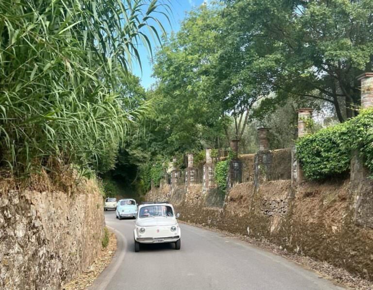 Private tour with Arianna & Friends