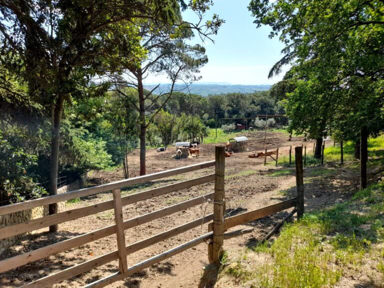 Cheese tasting experience with Arianna & Friends