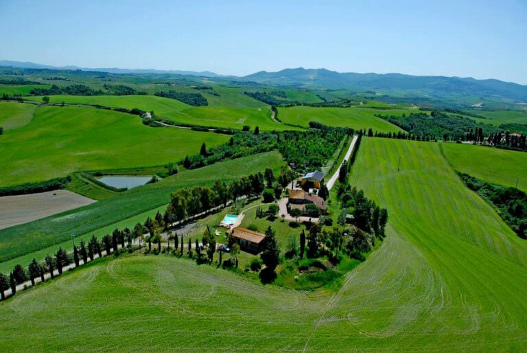 Ancient grain farm tour